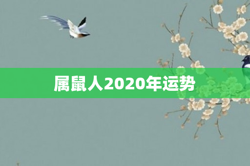 属鼠人2020年运势