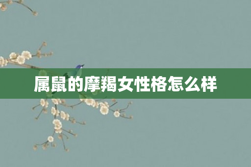属鼠的摩羯女性格怎么样