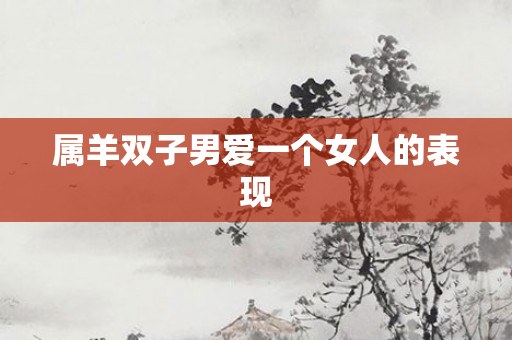 属羊双子男爱一个女人的表现