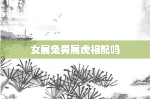 女属兔男属虎相配吗