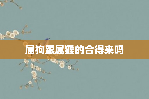 属狗跟属猴的合得来吗