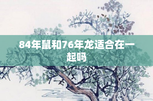 84年鼠和76年龙适合在一起吗