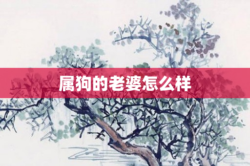 属狗的老婆怎么样