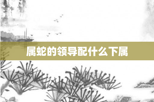 属蛇的领导配什么下属