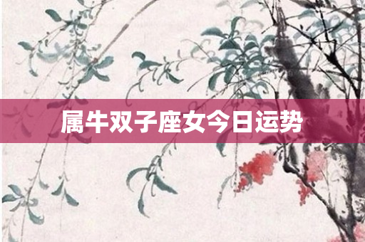 属牛双子座女今日运势