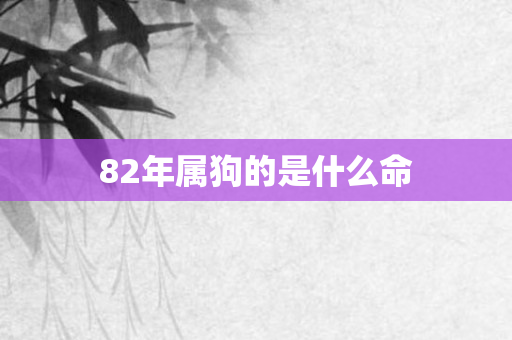 82年属狗的是什么命
