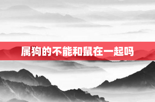 属狗的不能和鼠在一起吗