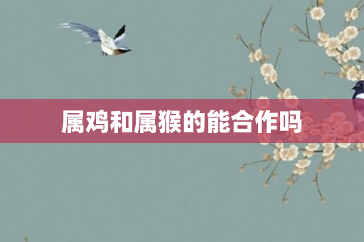 属鸡和属猴的能合作吗