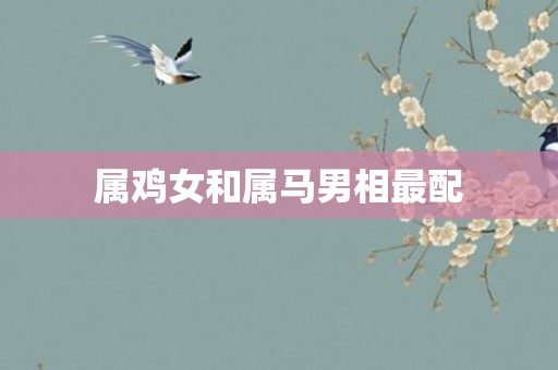 属鸡女和属马男相最配