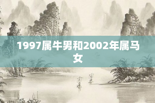1997属牛男和2002年属马女