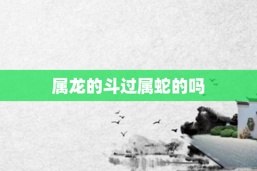 属龙的斗过属蛇的吗