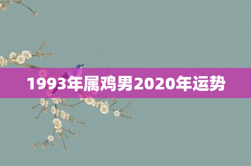 1993年属鸡男2020年运势