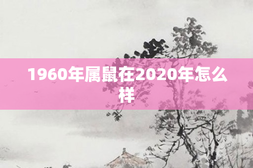 1960年属鼠在2020年怎么样