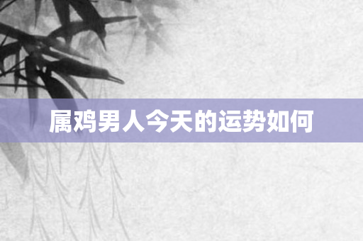 属鸡男人今天的运势如何