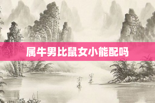 属牛男比鼠女小能配吗