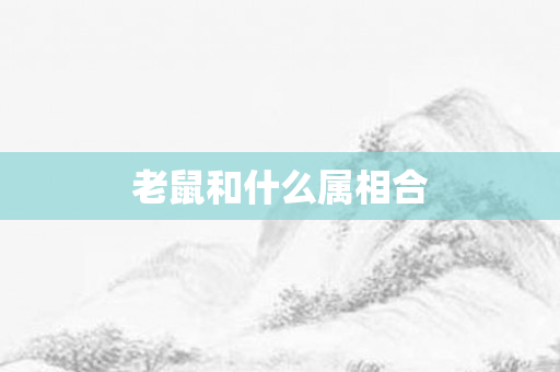 老鼠和什么属相合