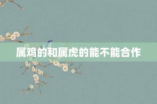 属鸡的和属虎的能不能合作