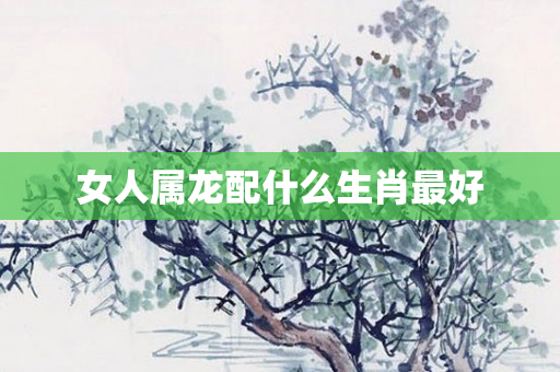 女人属龙配什么生肖更好