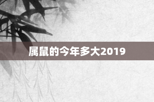 属鼠的今年多大2019