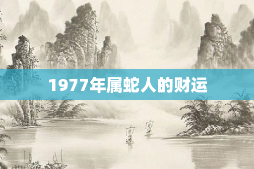 1977年属蛇人的财运