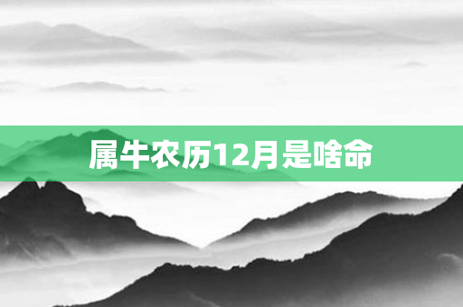 属牛农历12月是啥命