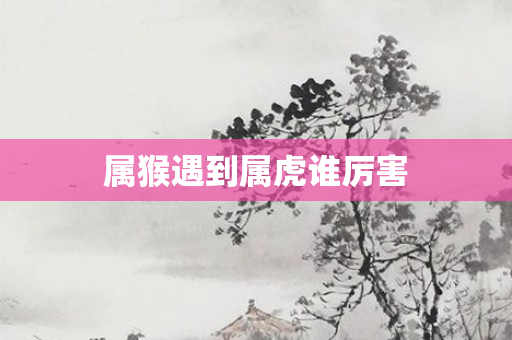 属猴遇到属虎谁厉害