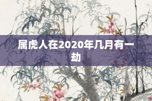 属虎人在2020年几月有一劫