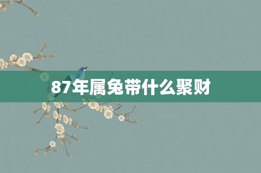 87年属兔带什么聚财