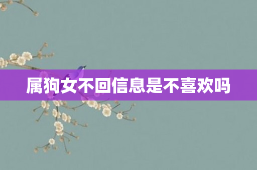 属狗女不回信息是不喜欢吗
