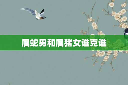 属蛇男和属猪女谁克谁