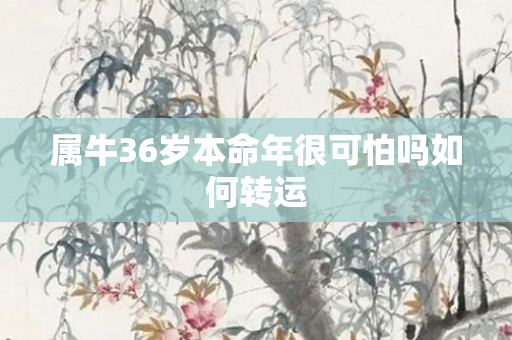 属牛36岁本命年很可怕吗如何转运