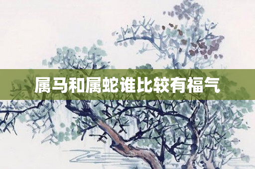 属马和属蛇谁比较有福气