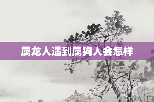 属龙人遇到属狗人会怎样