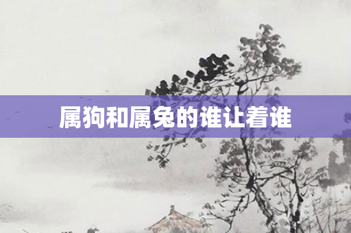 属狗和属兔的谁让着谁