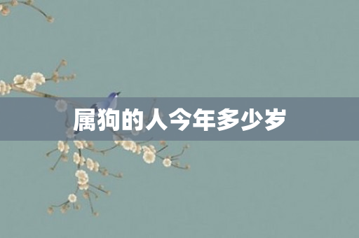 属狗的人今年多少岁