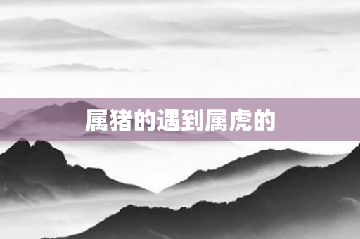 属猪的遇到属虎的