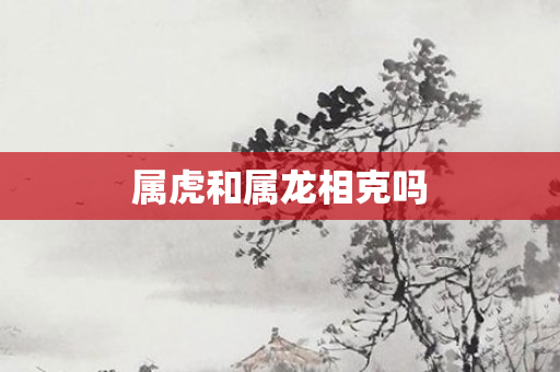 属虎和属龙相克吗