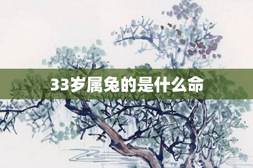 33岁属兔的是什么命