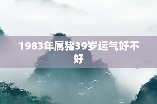 1983年属猪39岁运气好不好