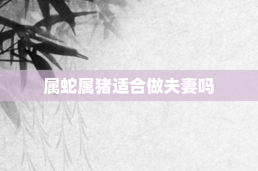 属蛇属猪适合做夫妻吗