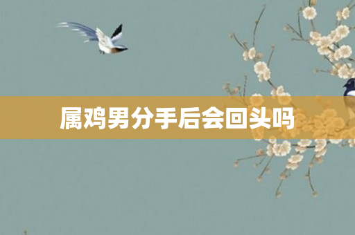 属鸡男分手后会回头吗