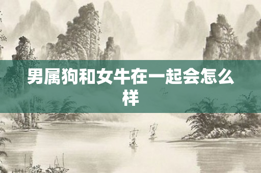 男属狗和女牛在一起会怎么样