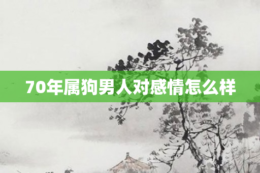 70年属狗男人对感情怎么样
