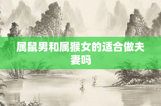 属鼠男和属猴女的适合做夫妻吗