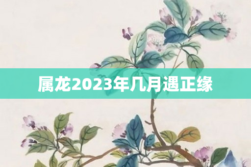 属龙2023年几月遇正缘