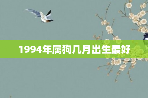 1994年属狗几月出生更好
