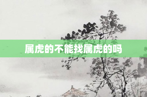 属虎的不能找属虎的吗