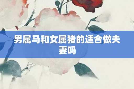 男属马和女属猪的适合做夫妻吗