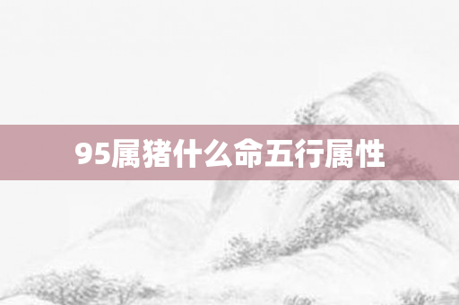 95属猪什么命五行属性
