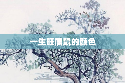 一生旺属鼠的颜色